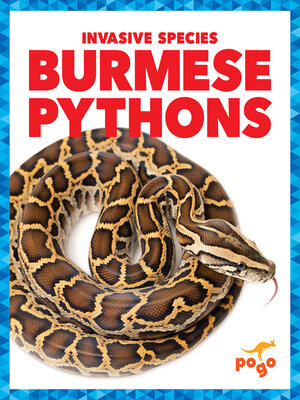 cover image of Burmese Pythons